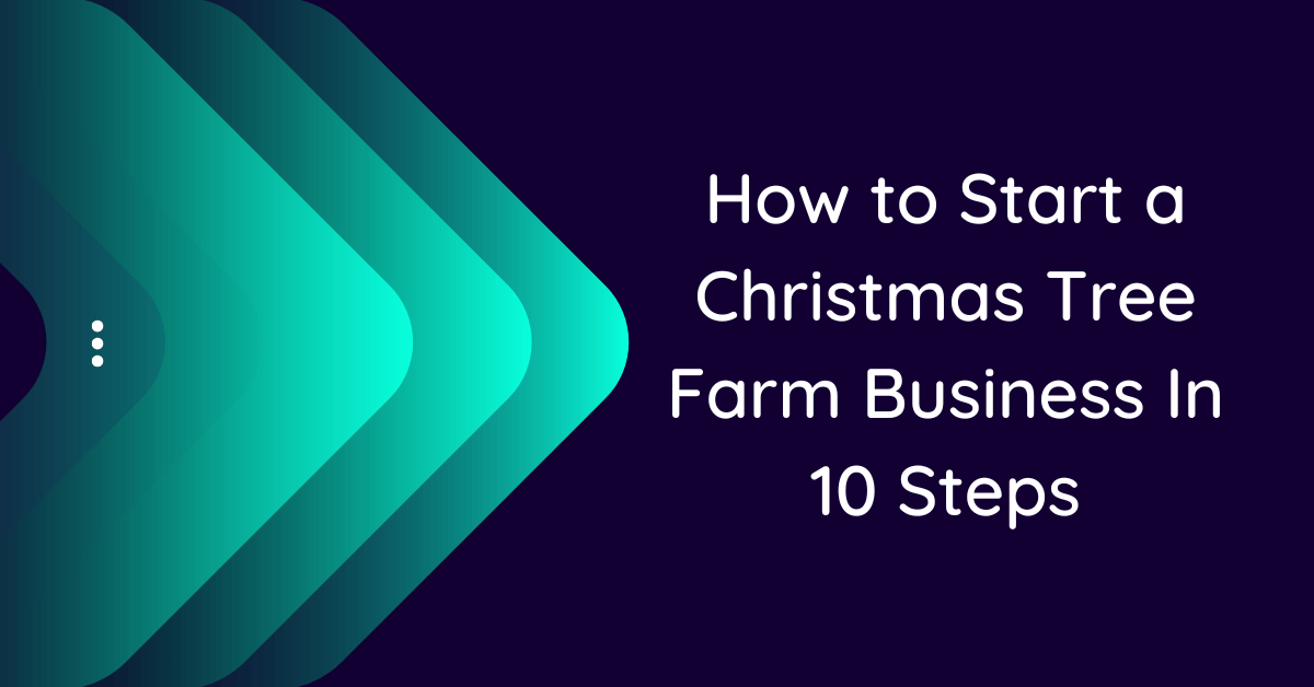 How to Start a Christmas Tree Farm Business In 10 Steps