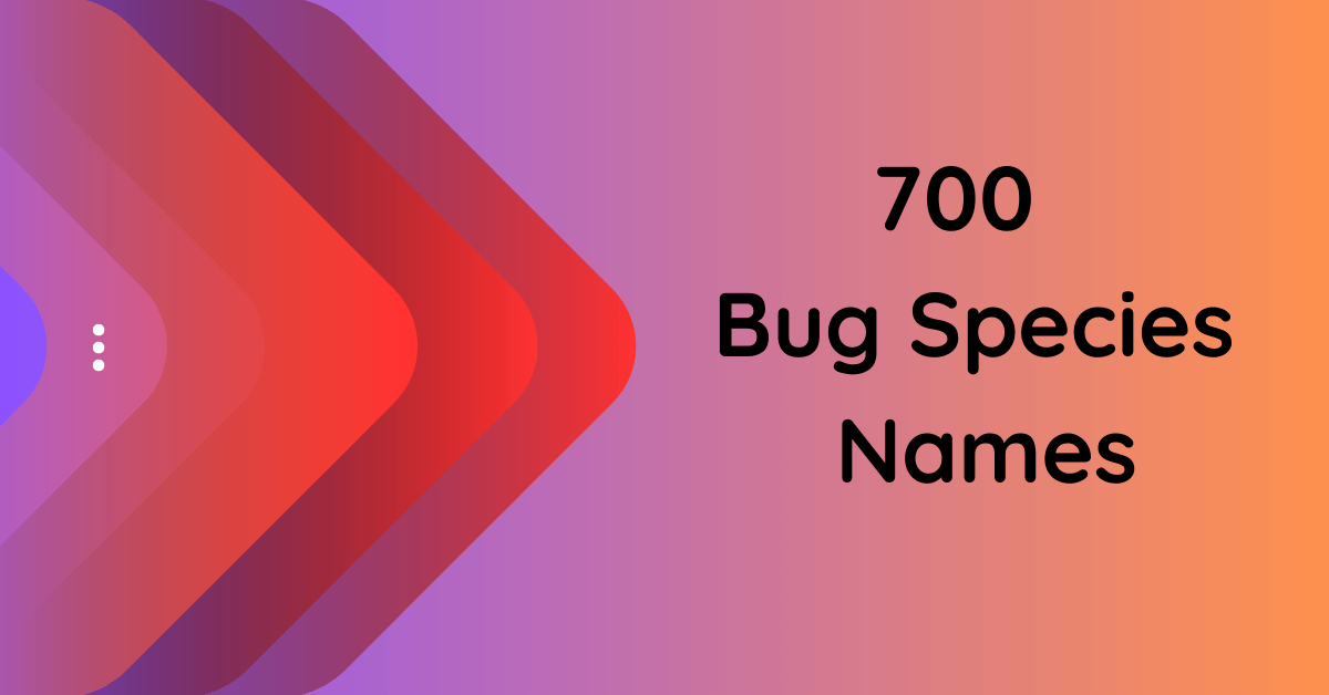 700-bug-species-names-for-the-insect-world