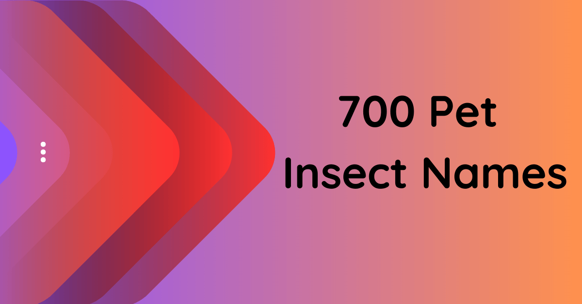 700-creative-pet-insect-names-to-delight-and-inspire